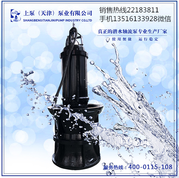 江西吉安自動(dòng)化潛水軸流泵-上泵QZB