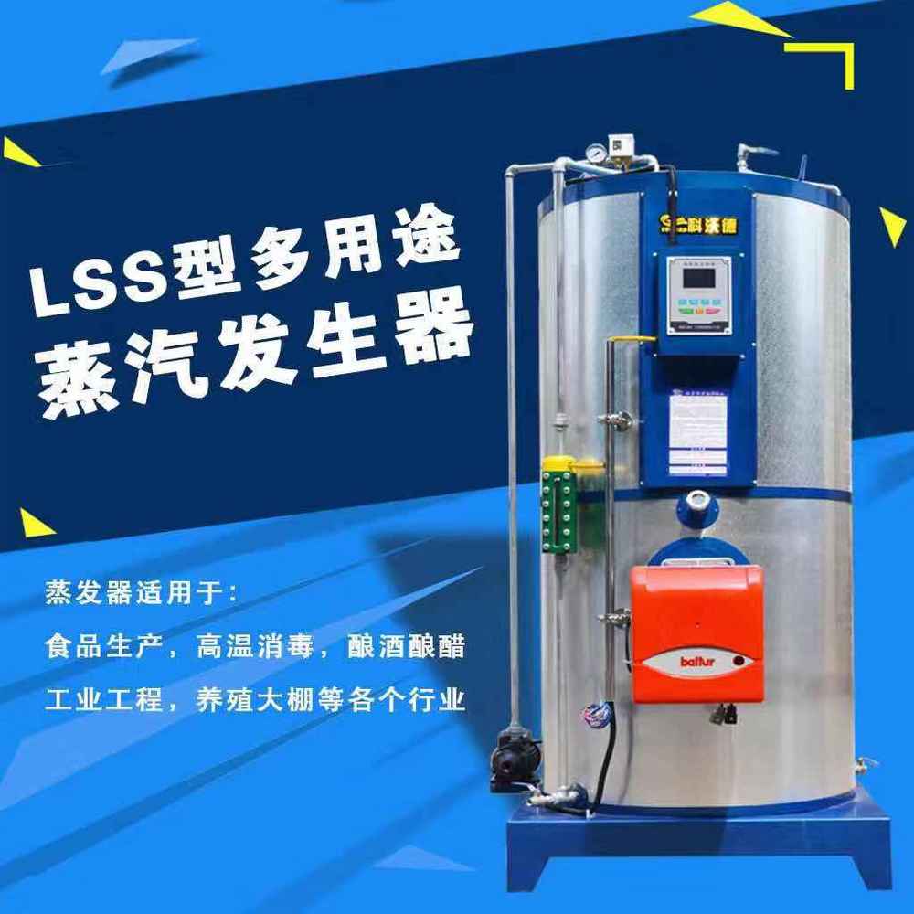 廠(chǎng)家直供燃?xì)庹羝l(fā)生器  LSS0.3型