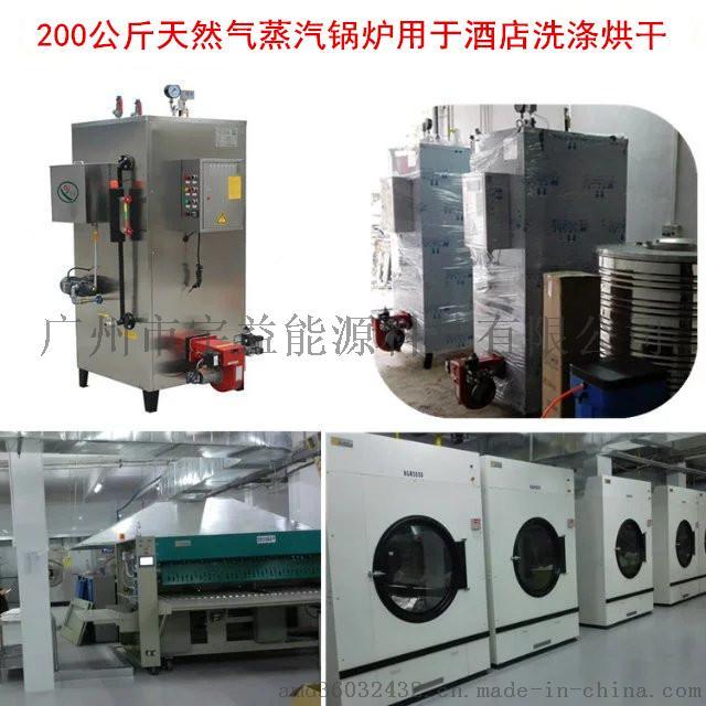 石鍋魚(yú)配套用全自動(dòng)燃?xì)庹羝仩t737200432