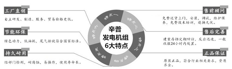 辛普電力發(fā)電機(jī)6大特點(diǎn) 辛普電力發(fā)電機(jī)6大特點(diǎn)