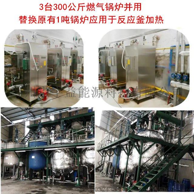 石鍋魚(yú)配套用全自動(dòng)燃?xì)庹羝仩t737200402